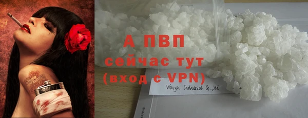 соль ск Алексин
