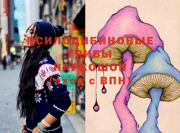 соль ск Алексин
